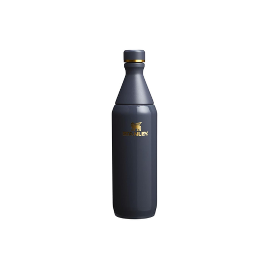 STANLEY All Day Slim Bottle, 20 oz, Twilight Gloss