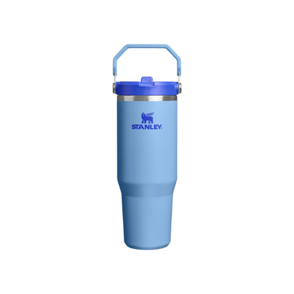 STANLEY IceFlow 2.0 Flip Straw Tumbler, 30 oz, Blue Sky