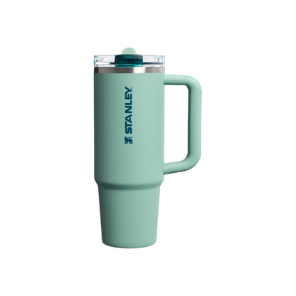 STANLEY Quencher ProTour Flipstraw Tumbler, 30 oz, Spring Green