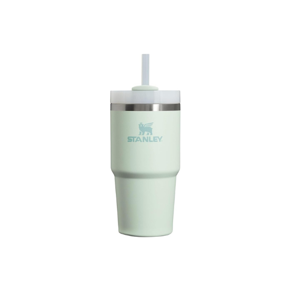 STANLEY Quencher H2.0 Flow State Tumbler, 20 oz, Mist