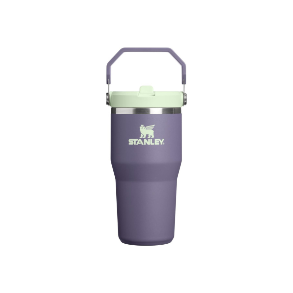 STANLEY IceFlow 2.0 Flip Straw Tumbler, 20 oz, Purple Umbra