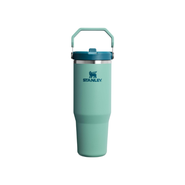 STANLEY IceFlow 2.0 Flip Straw Tumbler, 30 oz, Spring Green
