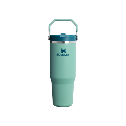 STANLEY IceFlow 2.0 Flip Straw Tumbler, 30 oz, Spring Green