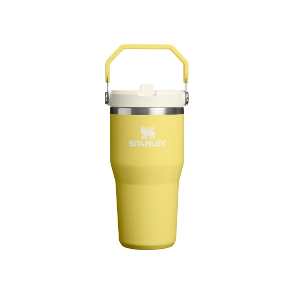 STANLEY IceFlow 2.0 Flip Straw Tumbler, 20 oz, Daffodil