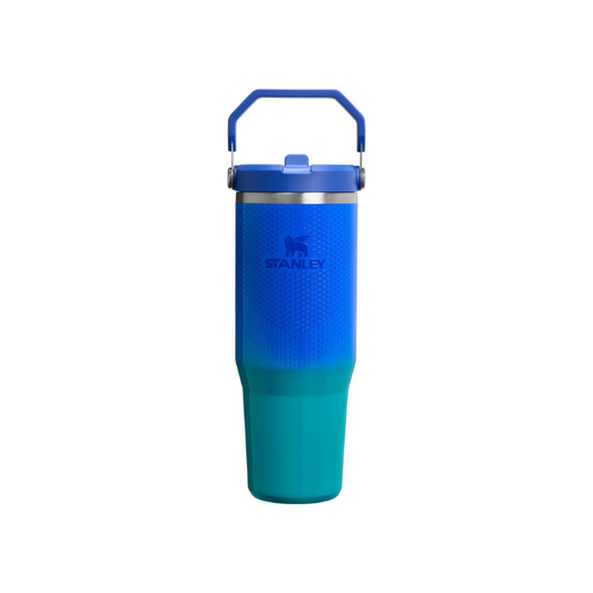 STANLEY IceFlow 2.0 Flip Straw Tumbler, 30 oz, Pacific Hypergrip