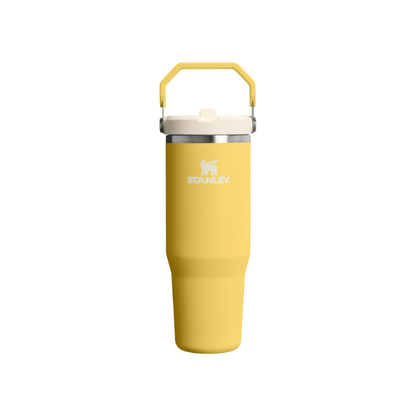 STANLEY IceFlow 2.0 Flip Straw Tumbler, 30 oz, Daffodil