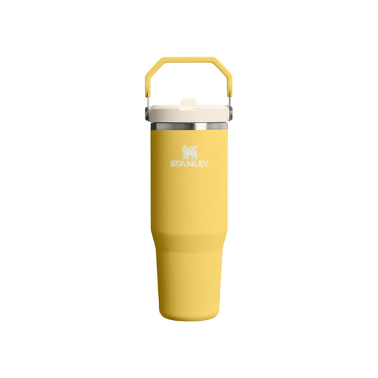 STANLEY IceFlow 2.0 Flip Straw Tumbler, 30 oz, Daffodil