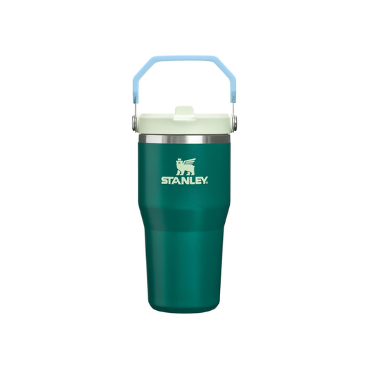 STANLEY IceFlow 2.0 Flip Straw Tumbler, 20 oz, Emerald Honeydew
