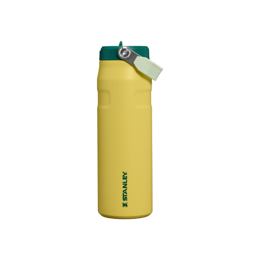 STANLEY IceFlow Flip Straw 2.0 Bottle, 24 oz, Daffodil Emerald