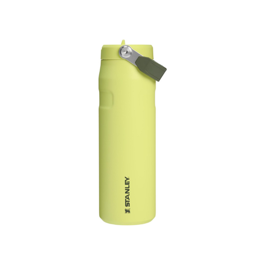 STANLEY IceFlow Flip Straw 2.0 Bottle, 24 oz, Prickly Pear