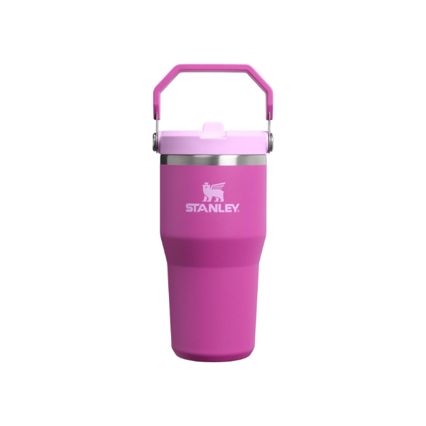 STANLEY IceFlow 2.0 Flip Straw Tumbler, 20 oz, Dark Blossom