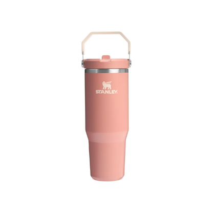 STANLEY IceFlow 2.0 Flip Straw Tumbler, 30 oz, Sienna