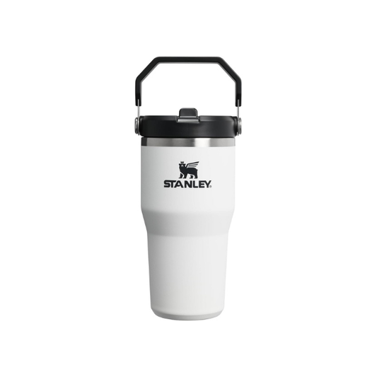 STANLEY IceFlow 2.0 Flip Straw Tumbler, 20 oz, Chalk