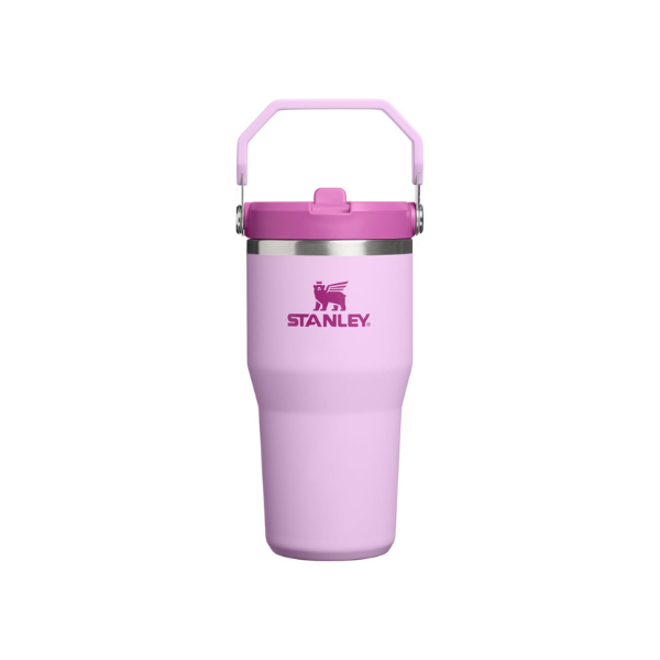 STANLEY IceFlow 2.0 Flip Straw Tumbler, 20 oz, Soft Orchid