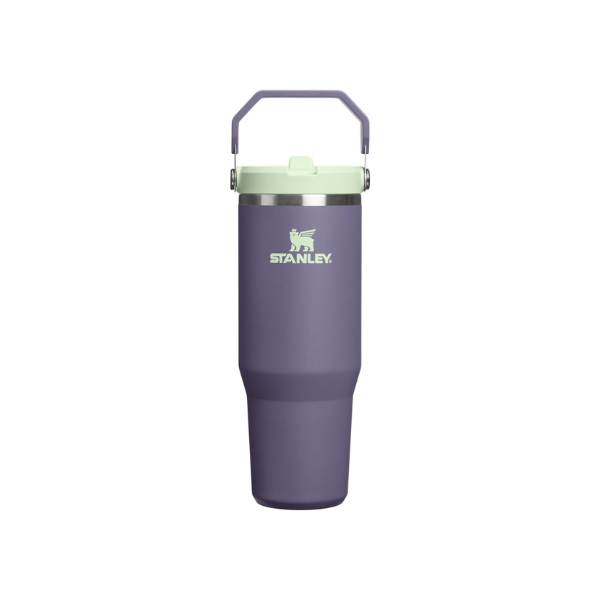 STANLEY IceFlow 2.0 Flip Straw Tumbler, 30 oz, Purple Umbra