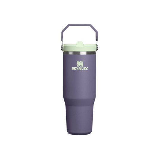STANLEY IceFlow 2.0 Flip Straw Tumbler, 30 oz, Purple Umbra