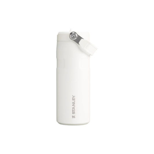 STANLEY IceFlow Flip Straw 2.0 Bottle, 16 oz, Frost