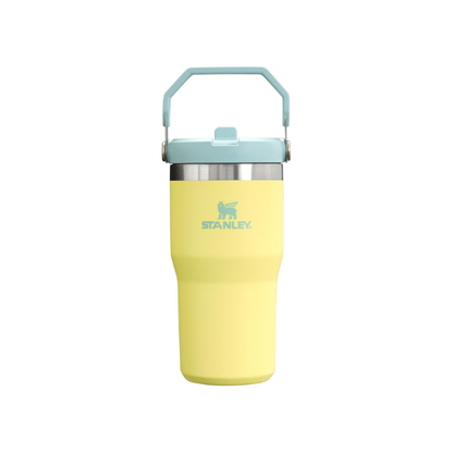 Stanley IceFlow Flip Straw Tumbler with Handle 20 oz | Twist On Lid and Flip Up Straw | Leak Resistant Water Bottle | Insulated Stainless Steel |BPA-Free | Pomelo