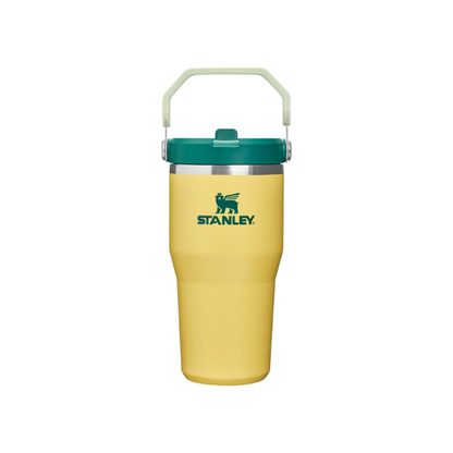 STANLEY IceFlow 2.0 Flip Straw Tumbler, 20 oz, Daffodil Emerald
