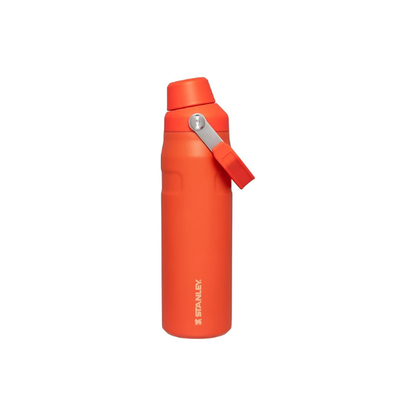 STANLEY IceFlow Fast Flow Bottle, 24 oz, Tigerlily