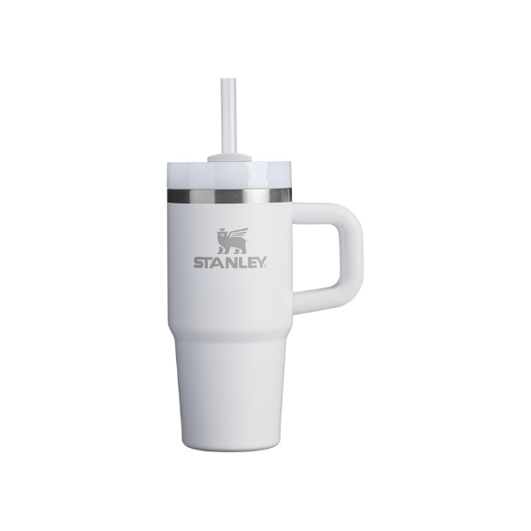 Stanley Quencher H2.0 Tumbler with Handle and Straw 14 oz | Flowstate 3-Position Lid | Cup Holder Compatible for Travel | Insulated Stainless Steel Cup | BPA-Free | Frost