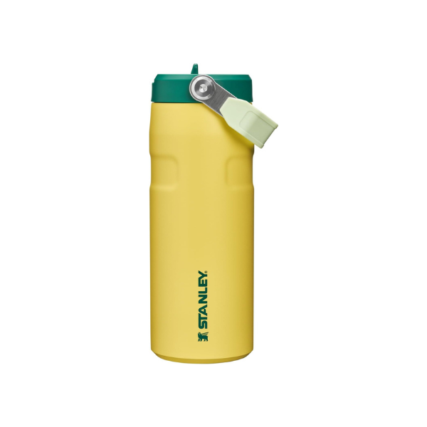 STANLEY IceFlow Flip Straw 2.0 Bottle, 16 oz, Daffodil Emerald