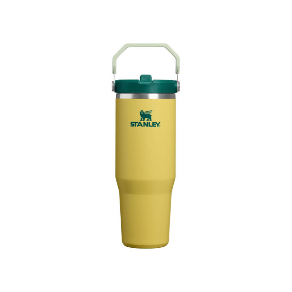STANLEY IceFlow 2.0 Flip Straw Tumbler, 30 oz, Daffodil Emerald