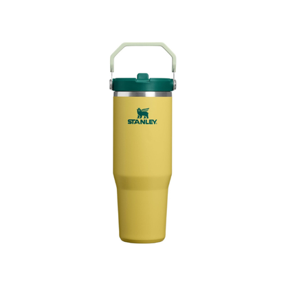STANLEY IceFlow 2.0 Flip Straw Tumbler, 30 oz, Daffodil Emerald