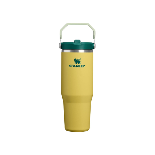 STANLEY IceFlow 2.0 Flip Straw Tumbler, 30 oz, Daffodil Emerald