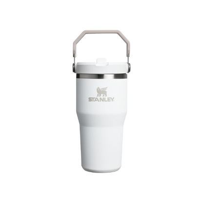 STANLEY IceFlow 2.0 Flip Straw Tumbler, 20 oz, Frost