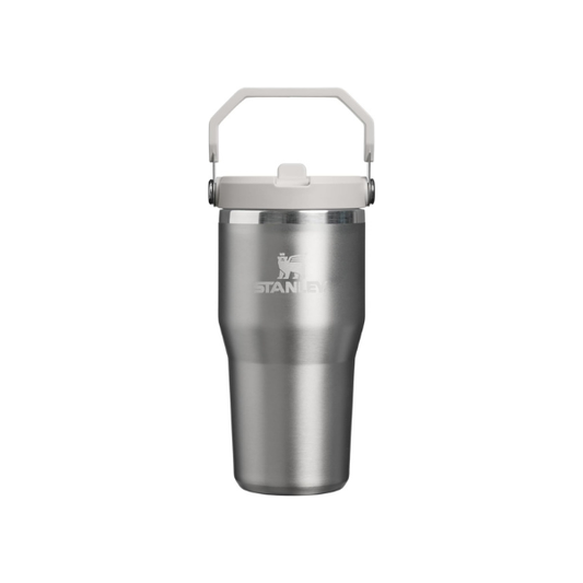 STANLEY IceFlow 2.0 Flip Straw Tumbler, 20 oz, Stainless Steel Ash