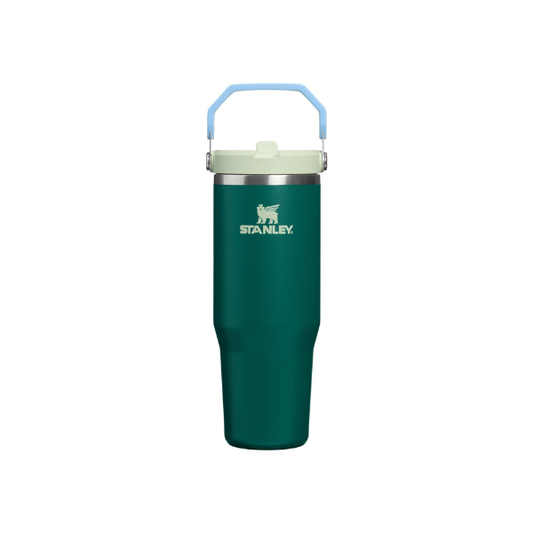 STANLEY IceFlow 2.0 Flip Straw Tumbler, 30 oz, Emerald Honeydew