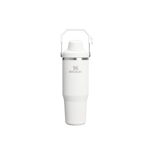 STANLEY IceFlow 2.0 Fast Flow Tumbler, 30 oz, Frost
