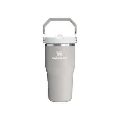 STANLEY IceFlow 2.0 Flip Straw Tumbler, 20 oz, Ash