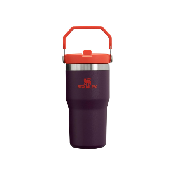 Stanley IceFlow Flip Straw Tumbler with Handle 20 oz | Twist On Lid and Flip Up Straw | Leak Resistant Water Bottle | Insulated Stainless Steel |BPA-Free | Plum