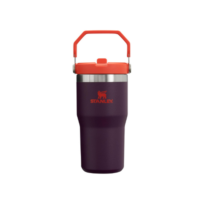 Stanley IceFlow Flip Straw Tumbler with Handle 20 oz | Twist On Lid and Flip Up Straw | Leak Resistant Water Bottle | Insulated Stainless Steel |BPA-Free | Plum