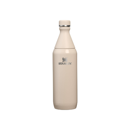 STANLEY All Day Slim Bottle, 20 oz, Champagne Gloss