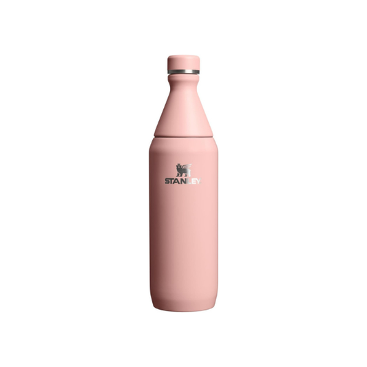 STANLEY All Day Slim Bottle, 20 oz, Peach Rose Gloss