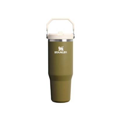 STANLEY IceFlow 2.0 Flip Straw Tumbler, 30 oz, Thyme