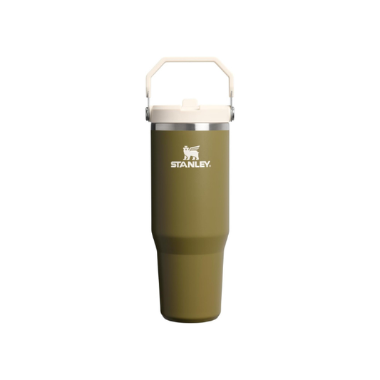 STANLEY IceFlow 2.0 Flip Straw Tumbler, 30 oz, Thyme