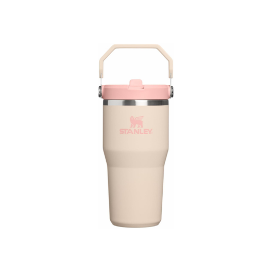STANLEY IceFlow 2.0 Flip Straw Tumbler, 20 oz, Champagne
