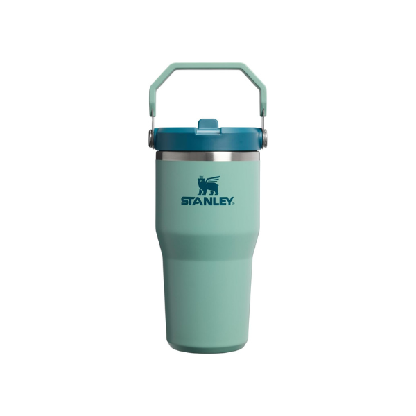 STANLEY IceFlow 2.0 Flip Straw Tumbler, 20 oz, Spring Green