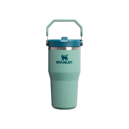 STANLEY IceFlow 2.0 Flip Straw Tumbler, 20 oz, Spring Green