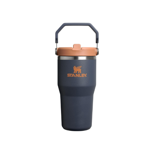 STANLEY IceFlow 2.0 Flip Straw Tumbler, 20 oz, Twilight