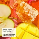 eos Natural Shea Smooth Lip Balm - Honey Apple & Mango Melonade, 0.14 oz, 2-pack