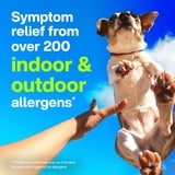 Claritin 24 Hour Non-Drowsy Allergy Medicine, Loratadine Antihistamine Tablets, 5 Ct