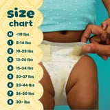 Pampers Swaddlers Fragrance Free Baby Diapers Size 2, 144 Count (Select for More Options)