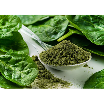Organic Spinach Powder, 2 Pounds – Non-GMO, Kosher, Vegan, Pure – by Food to Live