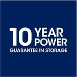 Great Value Alkaline AAA Batteries (100 Pack)