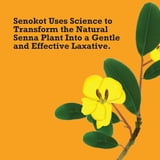 Senokot Extra Strength Senna Laxative Tablets, 36 Tablets